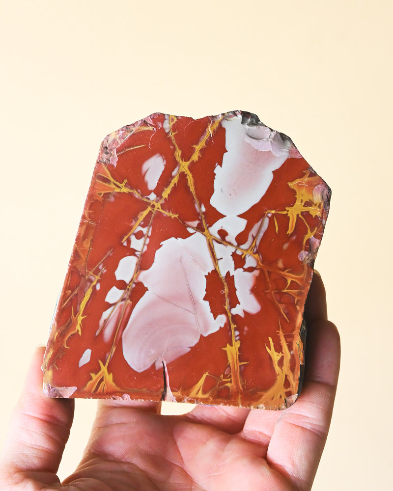 Noreena Jasper Slab – Australia