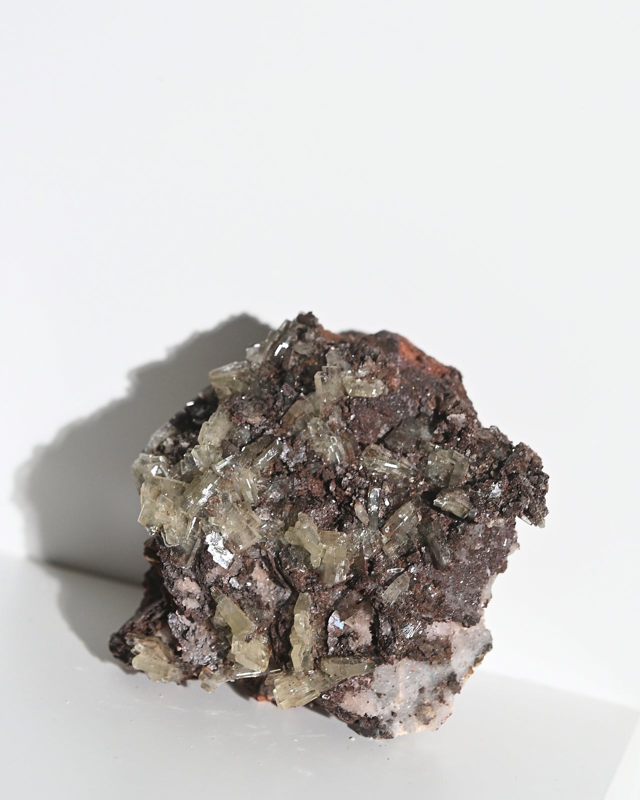 310--3x2-3835.jpg