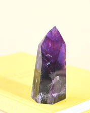 Bahia Amethyst Tower