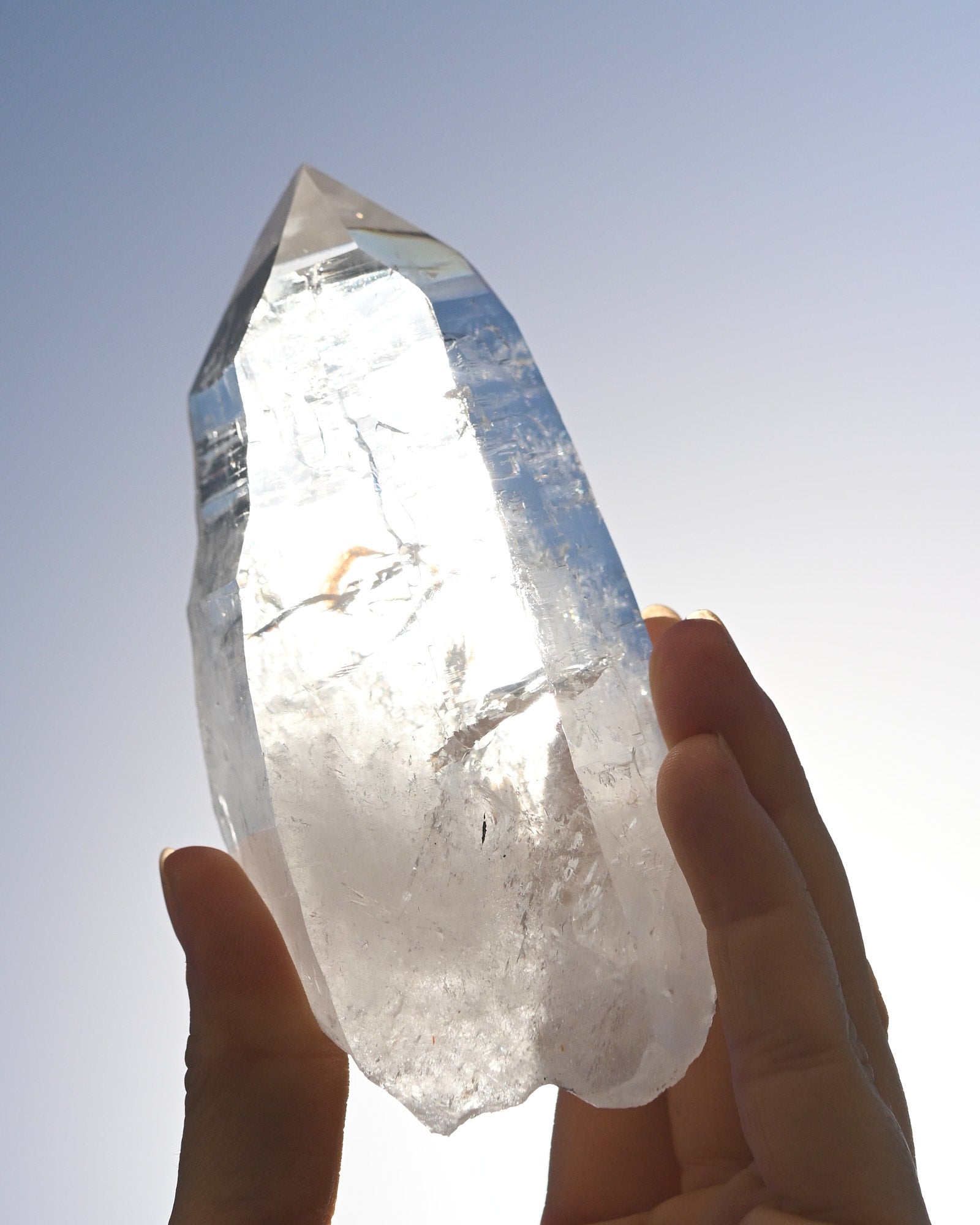 352-lemurian--5x3--0045.jpg