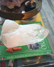 XL Natural Quartz Point 9.2lbs