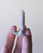 Witches Finger Quartz – South Africa - clear quartz crystal rough natural in natural light