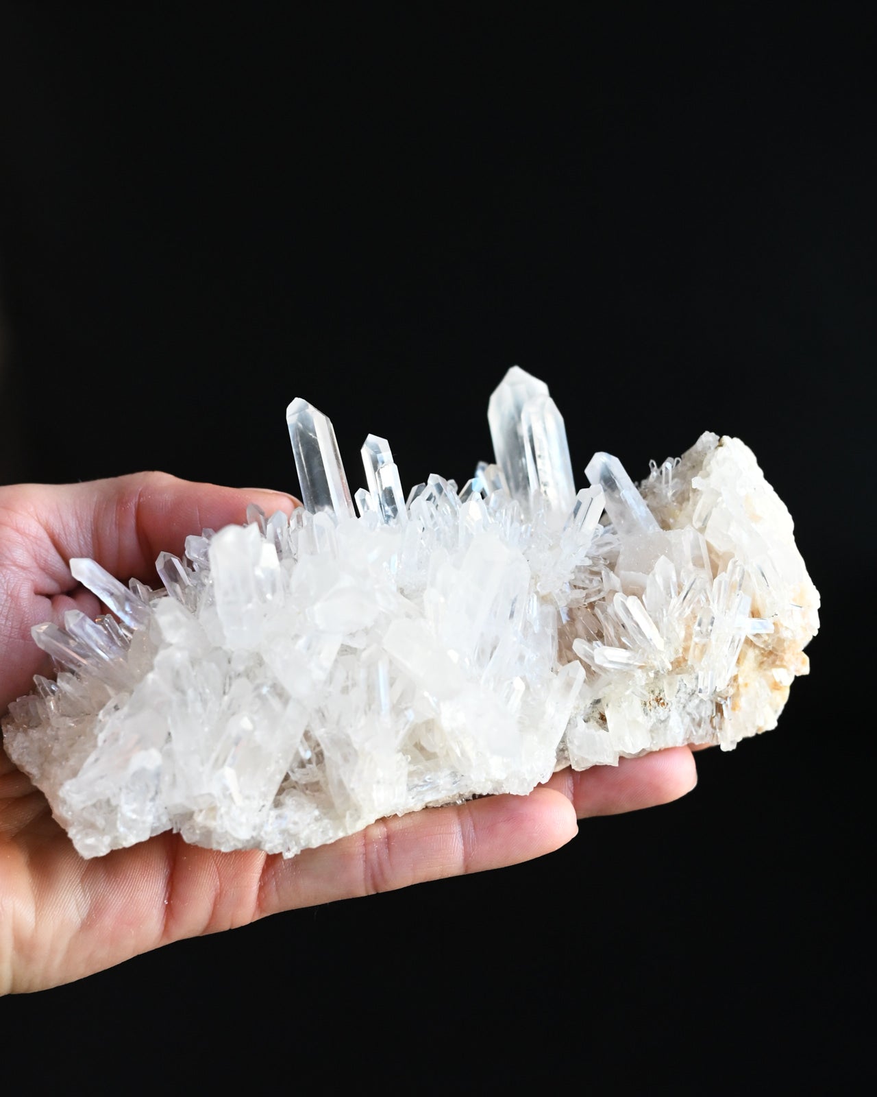 42-lemurian--0435.jpg