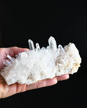 Lemurian Quartz Cluster 5 in