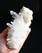 Lemurian Quartz Cluster 5 in