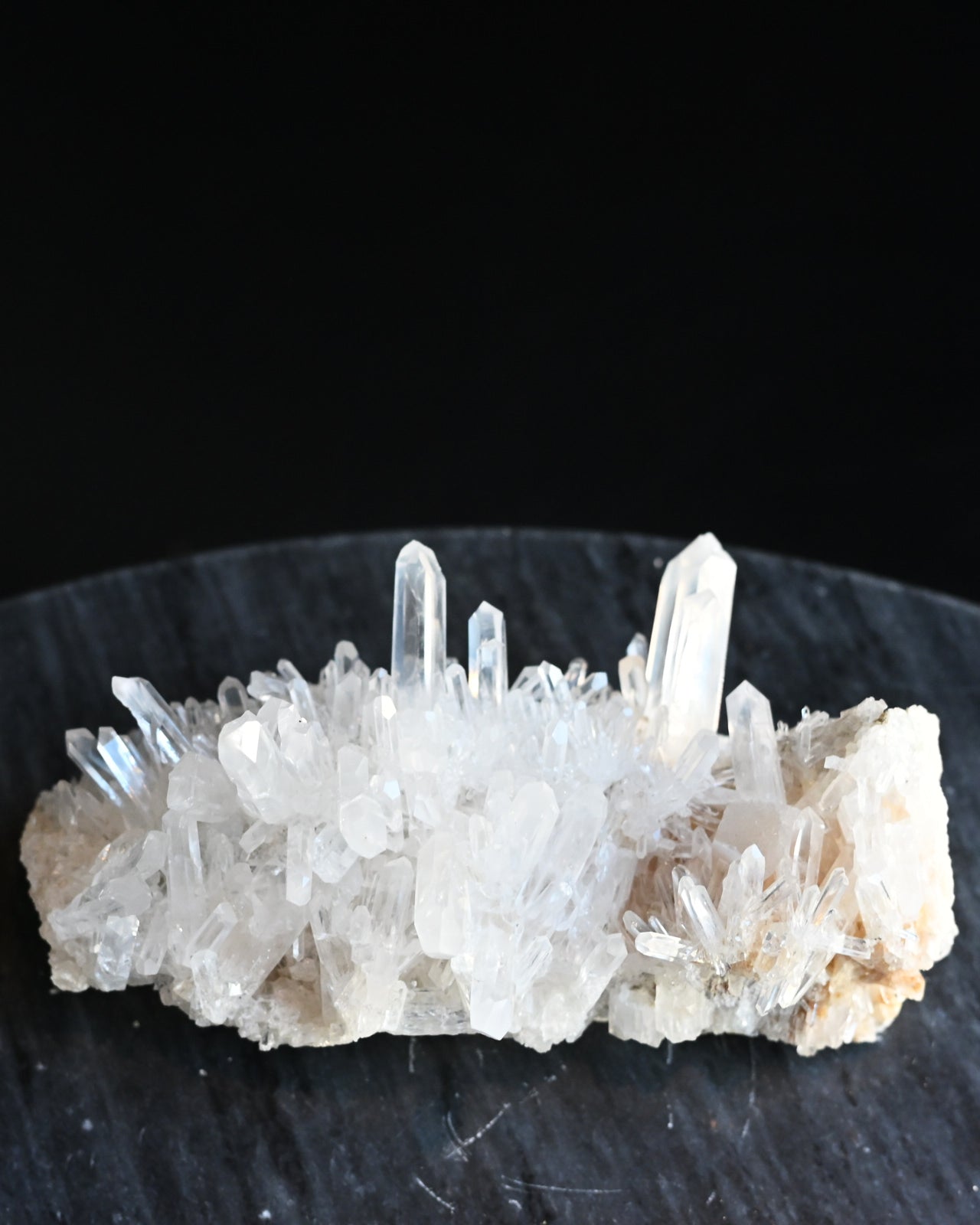 42-lemurian--0441.jpg