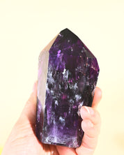 Bahia Phantom Tower 4in