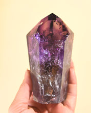 Bahia Phantom Tower 5in