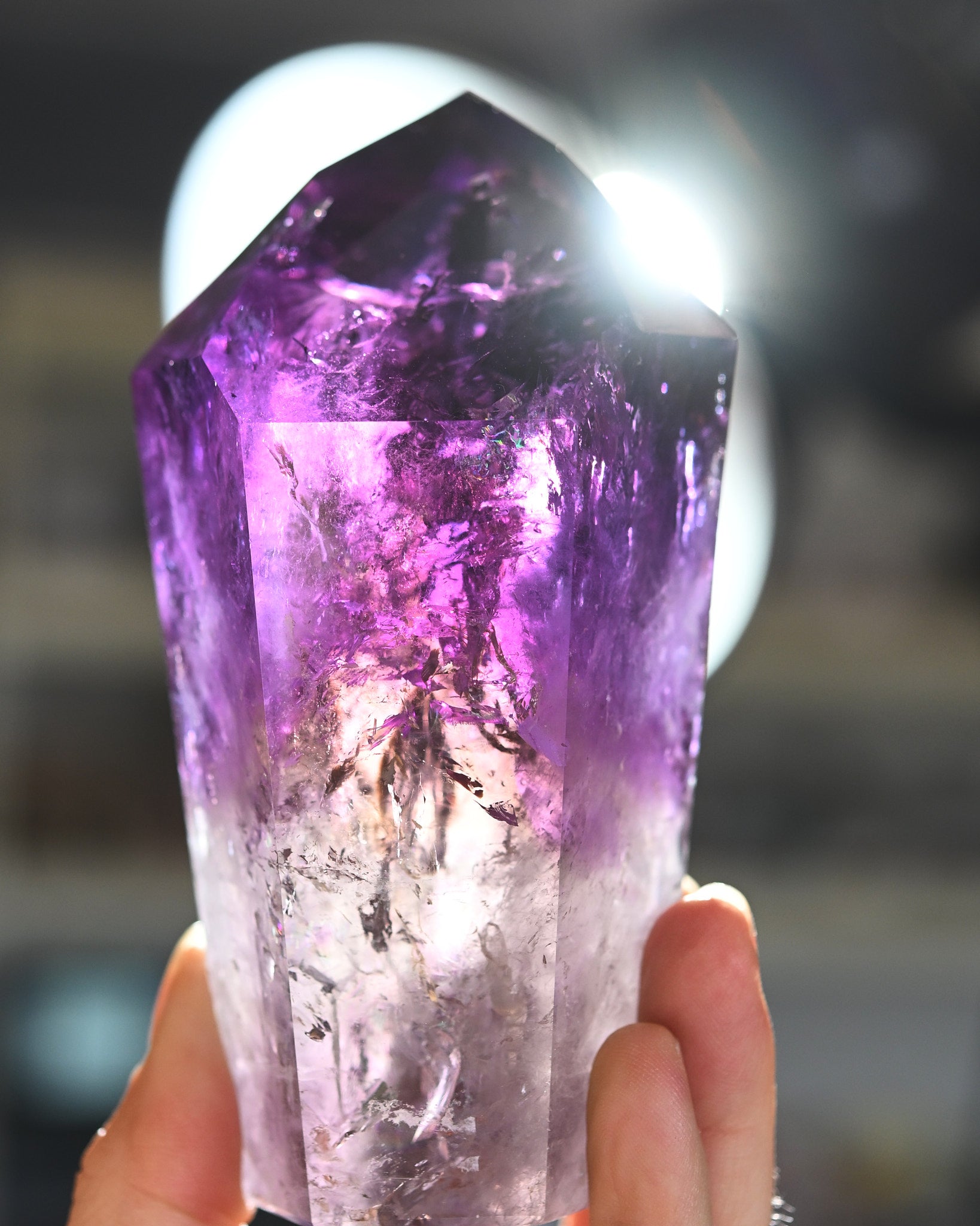 Bahia Phantom Tower 5in