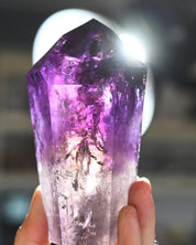 Bahia Phantom Tower 5in