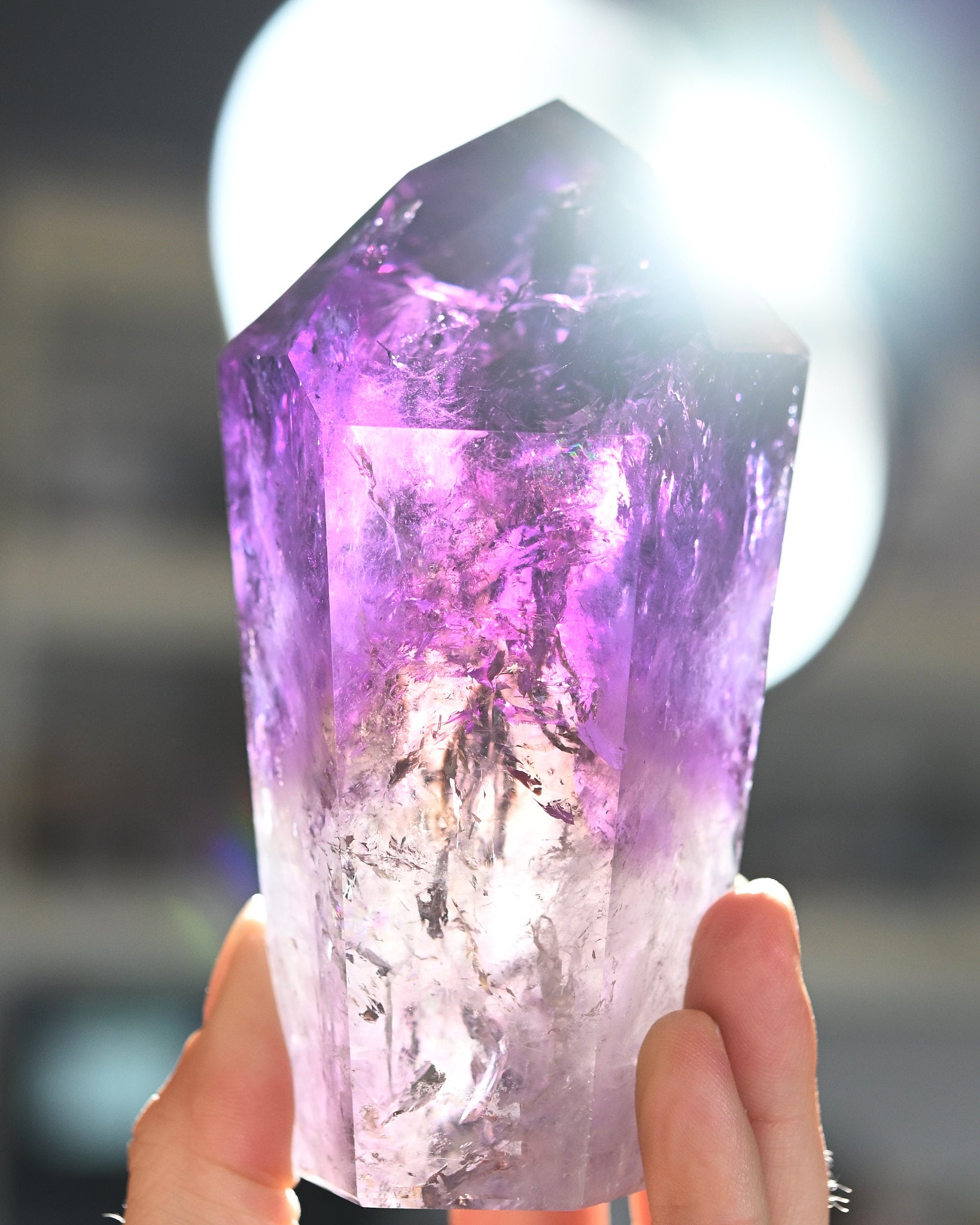 Bahia Phantom Tower 5in