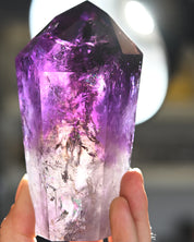 Bahia Phantom Tower 5in