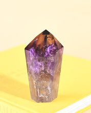 Bahia Phantom Tower 5in