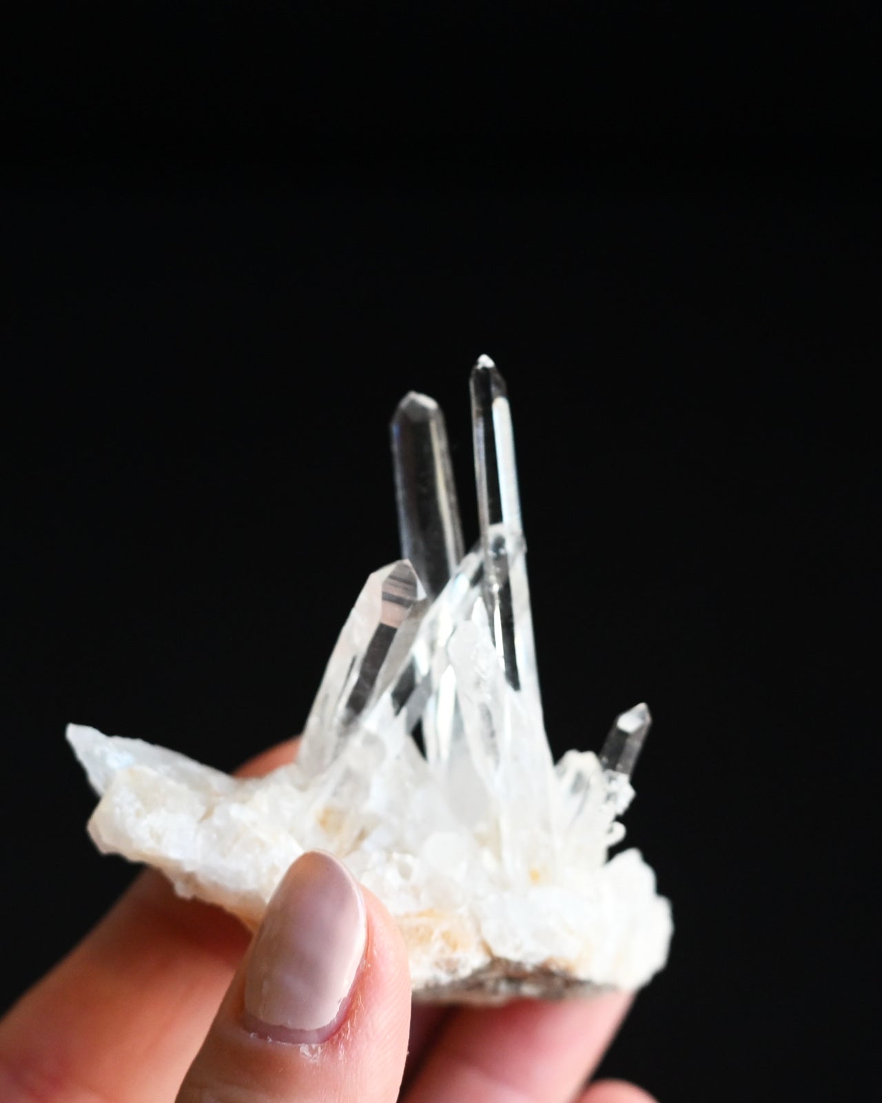 5-lemurian--0449.jpg