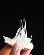 Mini Lemurian Quartz Cluster 2in