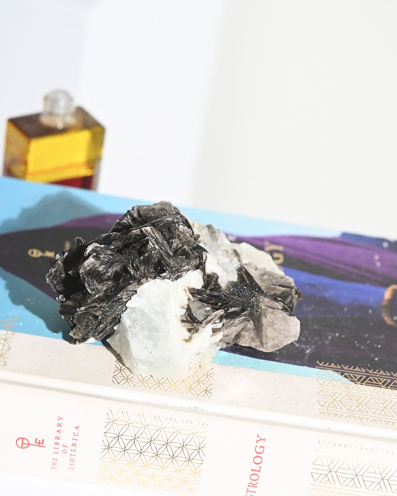 518-4x33-4144.jpg