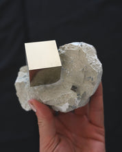 Pyrite Cube on Matrix