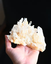 Lemurian Cluster 4 inch