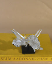 Diamantinas Quartz Cluster on Rotanting Stand - side view
