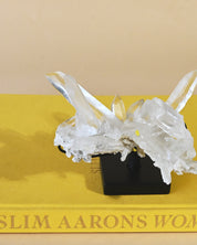 Diamantinas Quartz Cluster on Rotanting Stand - view 9