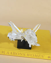 Diamantinas Quartz Cluster on Rotanting Stand - close up detail