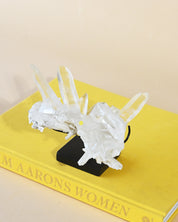 Diamantinas Quartz Cluster on Rotanting Stand - view 11