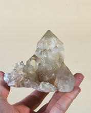 Natural Elestial Citrine Cluster | South Africa