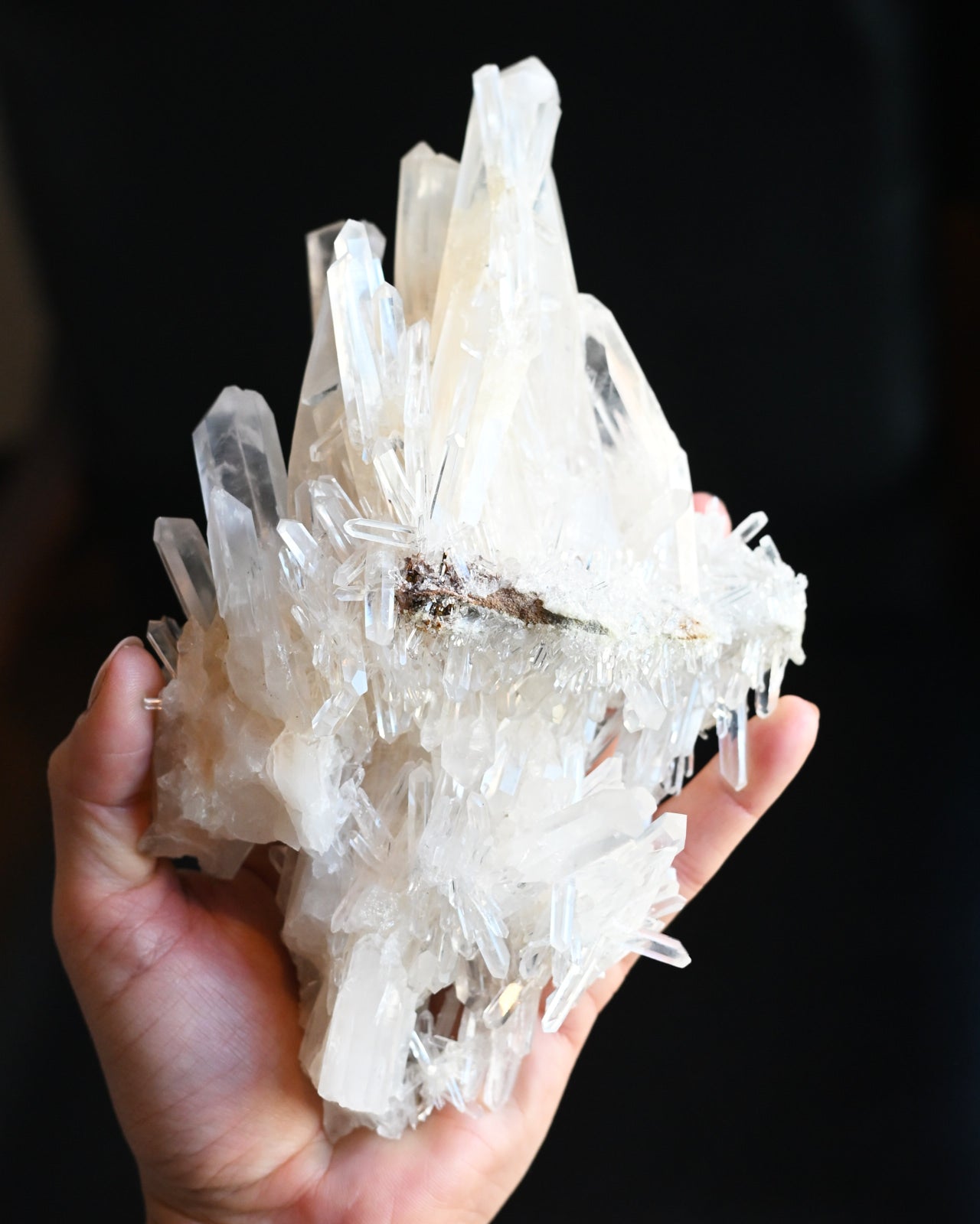 68-lemurian--0418.jpg