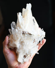 LG Lemurian Quartz Cluster