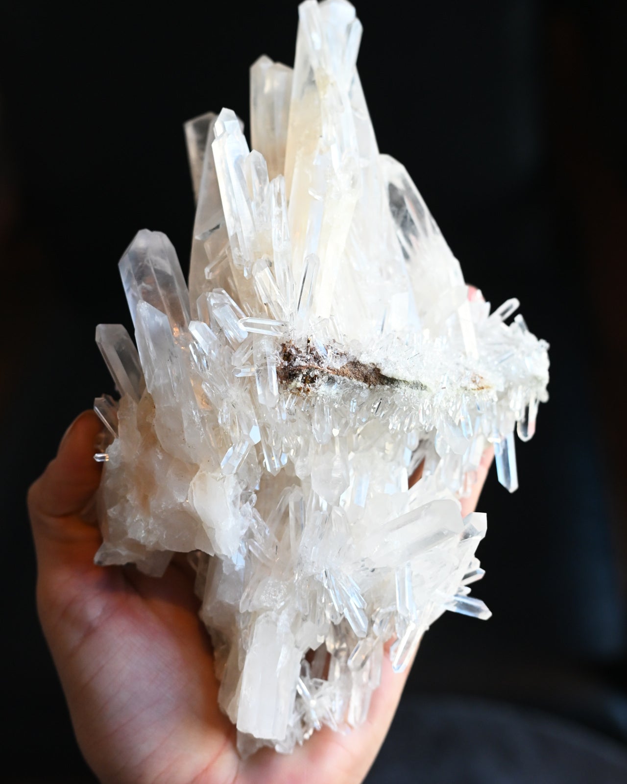 68-lemurian--0420.jpg