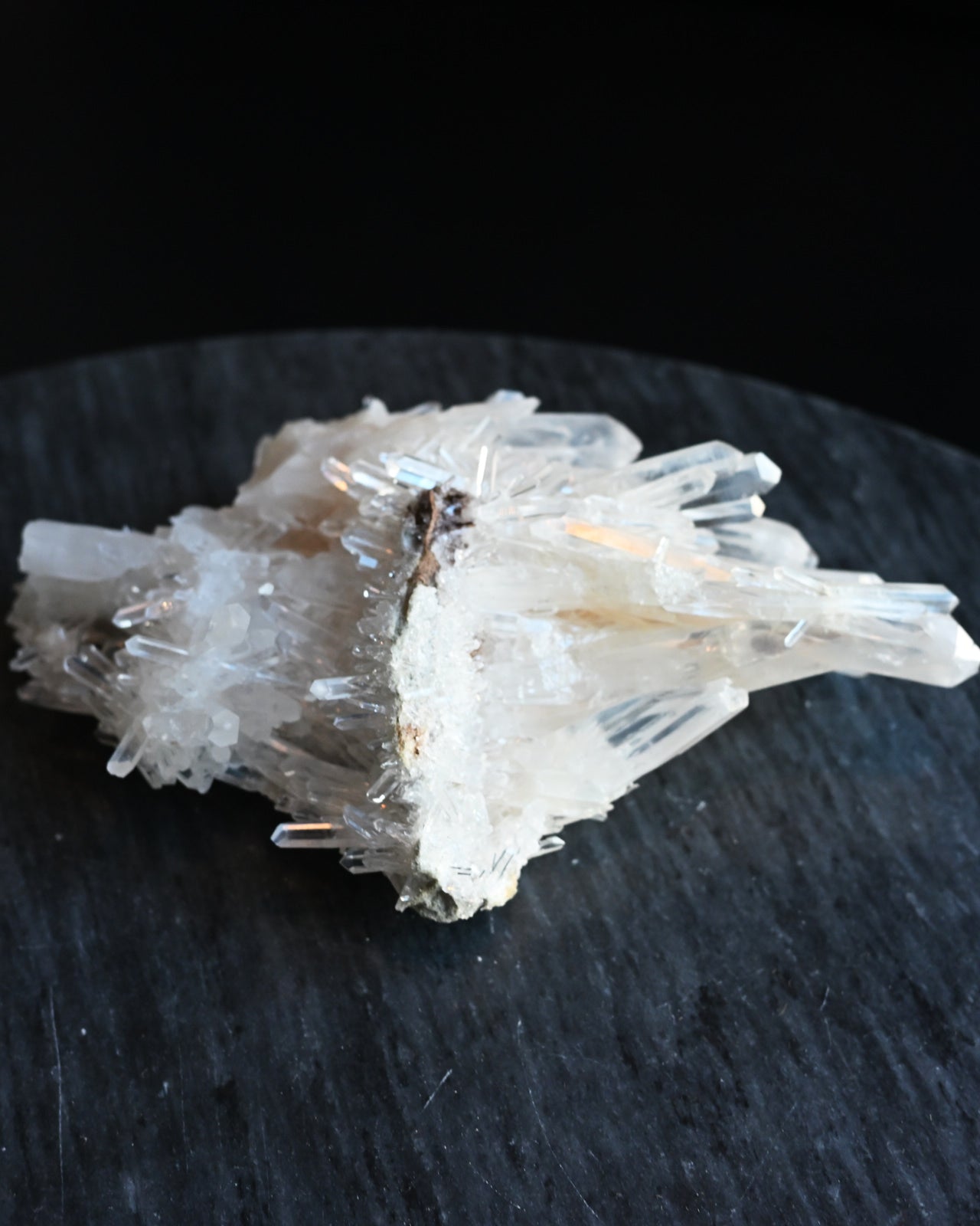 68-lemurian--0424.jpg
