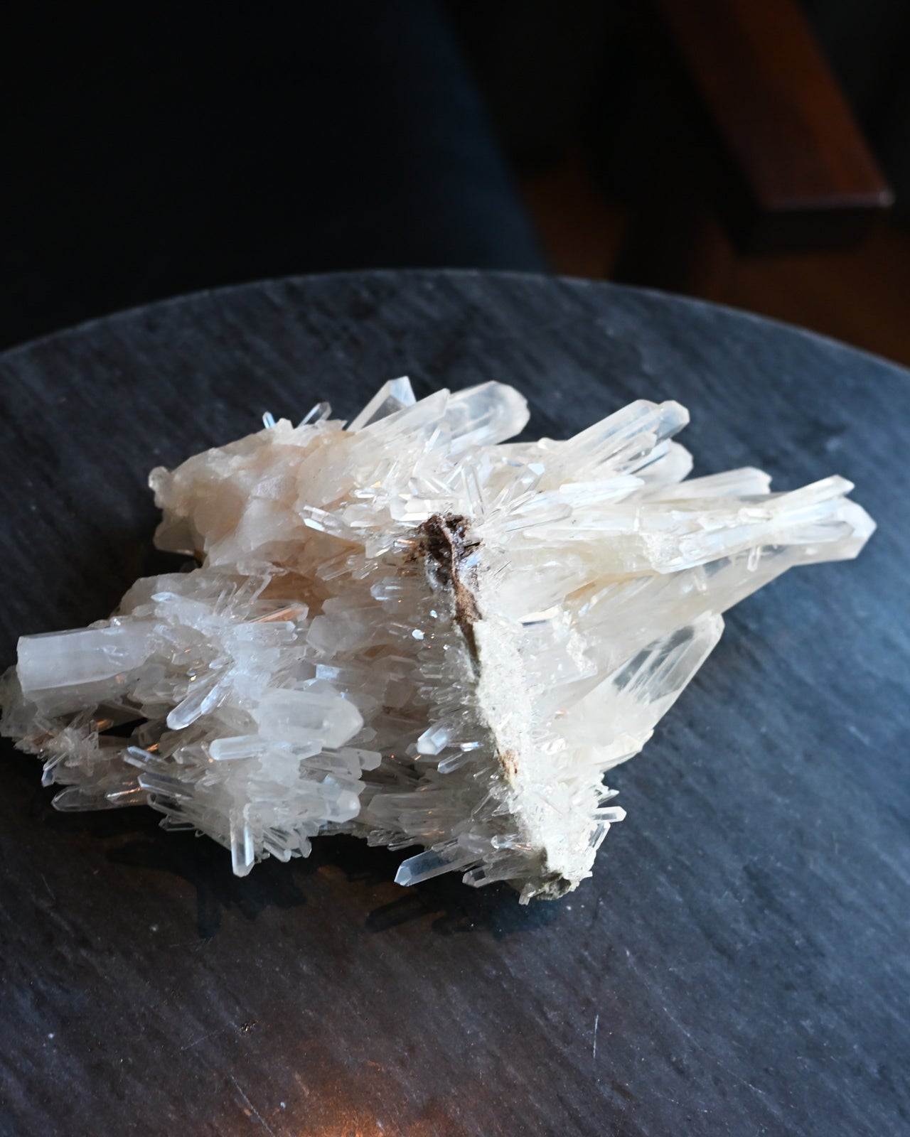 68-lemurian--0426.jpg