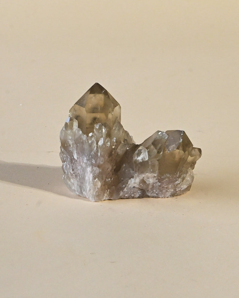 Natural Elestial Citrine Cluster | South Africa