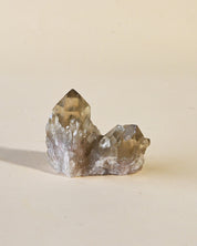 Natural Elestial Citrine Cluster | South Africa