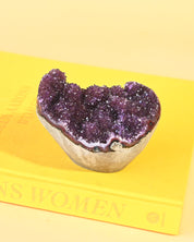 Amethyst Druzy Geode