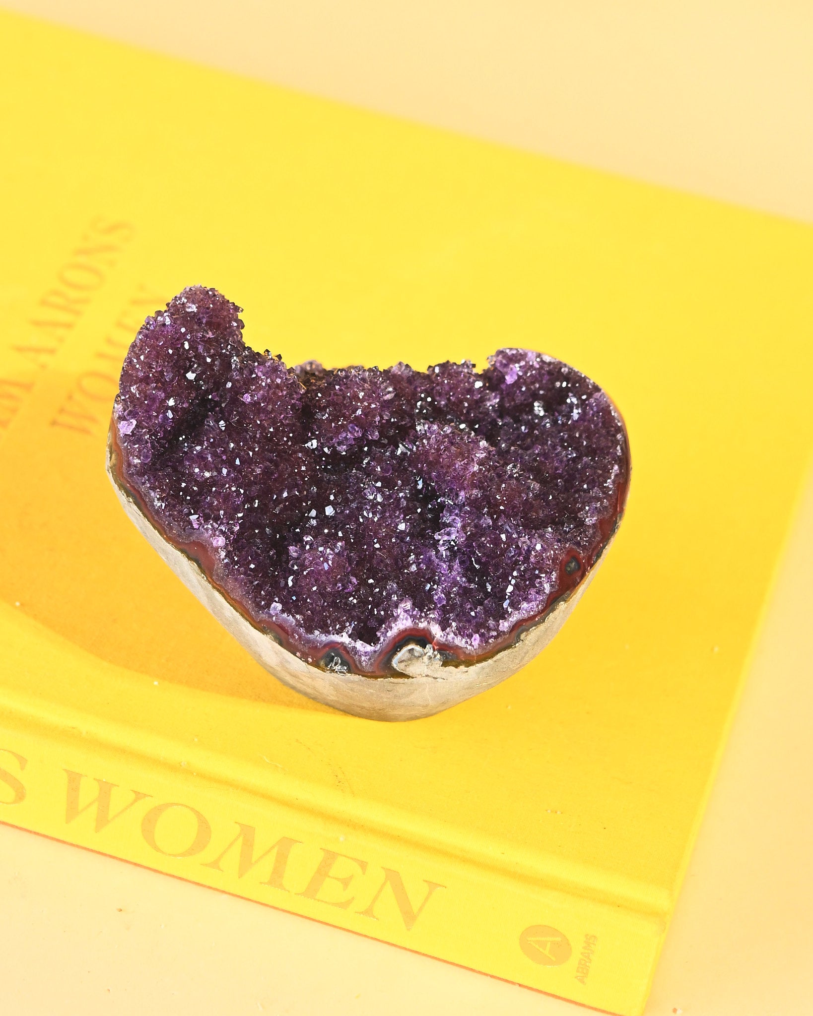 Amethyst Druzy Geode