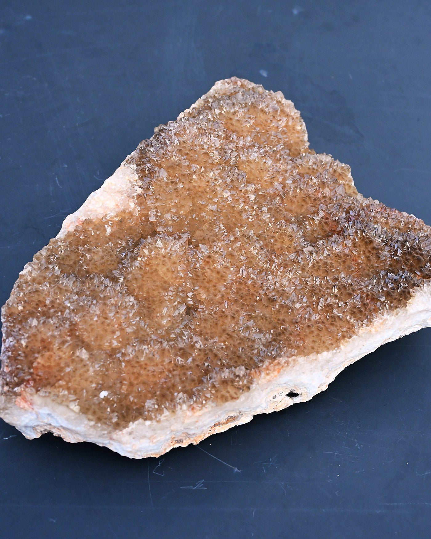 Fossil Algae Citrine Agate detail