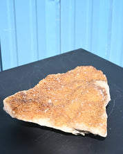 Fossil Algae Citrine Agate angle