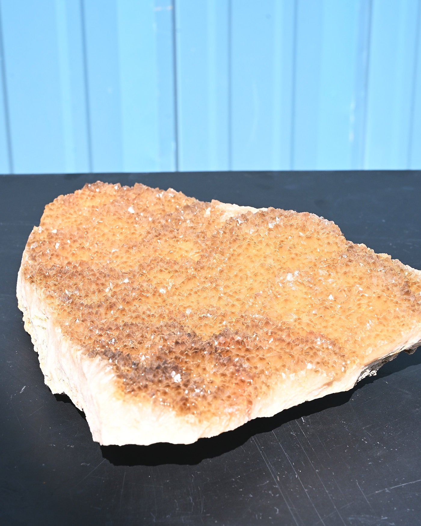 Fossil Algae Citrine Agate full