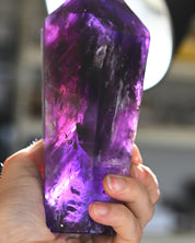 Bahia Phantom Tower 6in