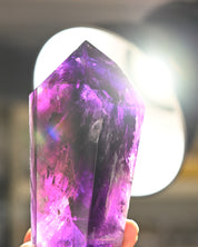 Bahia Phantom Tower 6in