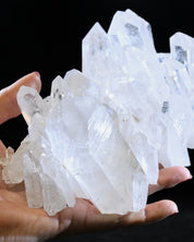 Arkansas WW2 Quartz full