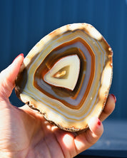 Brazil Agate 2.54 pair angle