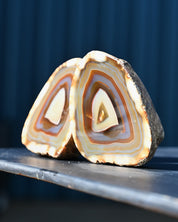 Brazil Agate 2.54 pair full