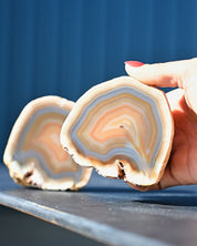 Brazil Agate 1.705 pair detail