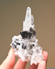 Sm Hubnerite with Quartz 3in