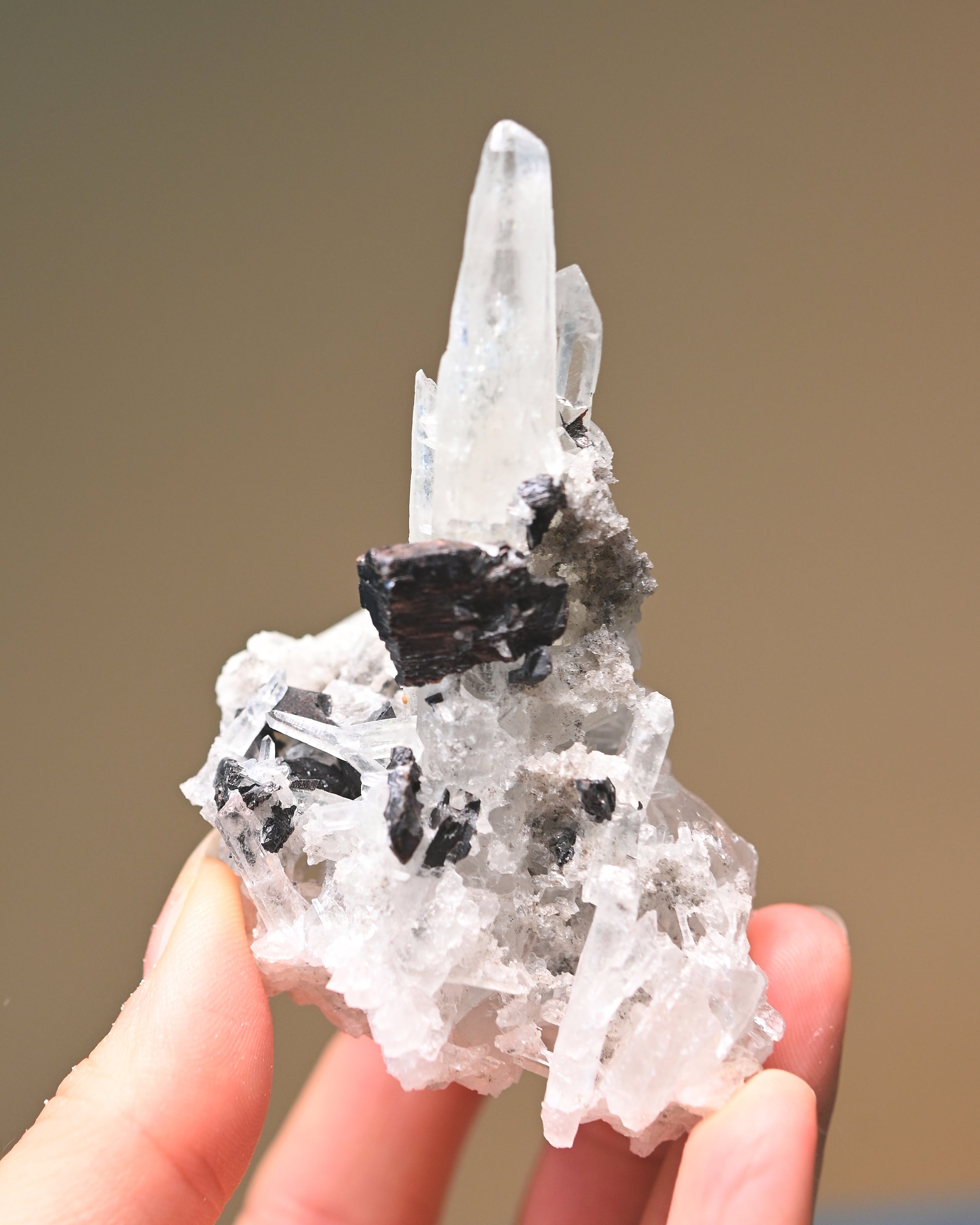 Sm Hubnerite with Quartz 3in