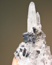 Sm Hubnerite with Quartz 3in