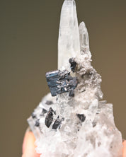 Sm Hubnerite with Quartz 3in