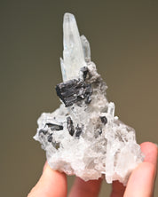 Sm Hubnerite with Quartz 3in